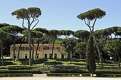 A movement of Respighi's tone poem Pines of Rome depicts the stone pines of the Villa Borghese gardens.[78]