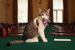 Chief Mouser to the Cabinet Office, Larry