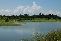 Wetland Park in Hong Kong