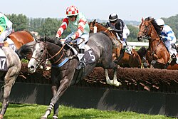 Steeplechase racing at Deauville