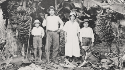 Japanese immigrant family in Brazil
