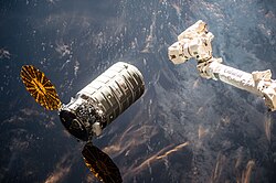 Enhanced size Cygnus (remainder)