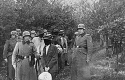 Polish civilians wearing blindfolds photographed just before being massacred by German soldiers in Palmiry forest, 1940