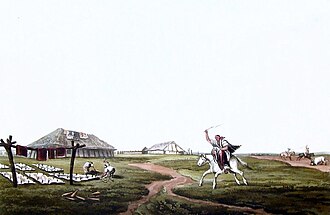 The earliest depiction of a Uruguayan gaucho (Emeric Essex Vidal, Picturesque Illustrations of Buenos Ayres and Monte Video, 1820)