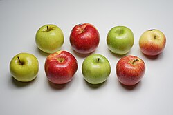 From left to right: the 'Golden Delicious', 'SweeTango', 'Granny Smith', and 'Gala' apples.