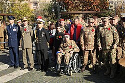Romanian Veterans' Day on 11 November 2019