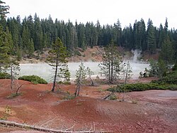 Boiling Springs Lake, California, is where the first natural chimeric virus was found in 2012.[47]