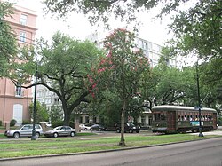 New Orleans streetcar on St. Charles Avenue in the Garden District with Mardi Gras beads on a tree in the foreground.