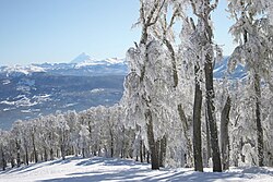 Cerro Chapelco.