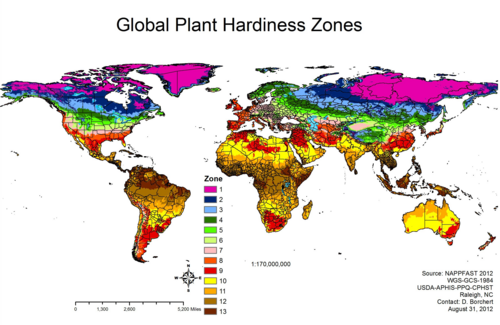 Global Plant Hardiness Zones (approximate). Antarctica is not shown; most of it except the peninsula is zone 0 or 1,[citation needed] and is almost completely covered by the Antarctic ice sheet.