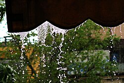 Rain water flux from a canopy. Among the forces that govern drop formation: surface tension, cohesion, van der Waals force, Plateau–Rayleigh instability.