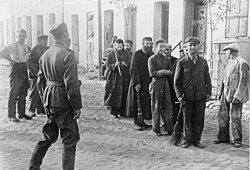 Polish Jews are lined up by German soldiers to do forced labour, September 1939, German-occupied Poland