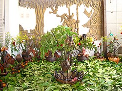 A sacrifice to the orixá Exu