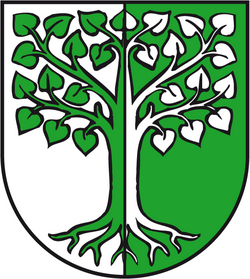 Arms of Behnsdorf: "per pale Argent and Vert a tilia eradicated counterchanged"