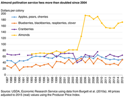 The graph shows the average dollar amount per colonies received by beekeepers depending on the pollinated crop.