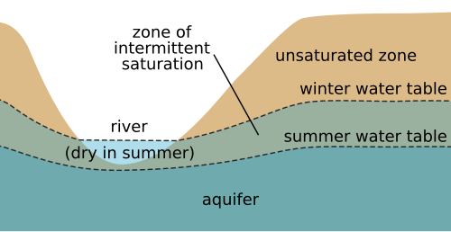 Seasonal fluctuations in the water table may cause river beds to dry up during the dry season