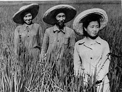 Deported Koreans from the Soviet Far East at a collective farm in the Uzbek SSR (1937)