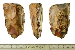 A tranchet axe