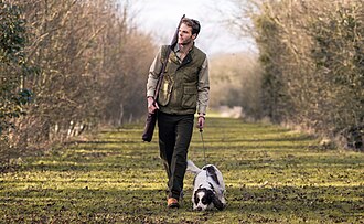 Man walking a spaniel gun dog (East Riding of Yorkshire, 2018)