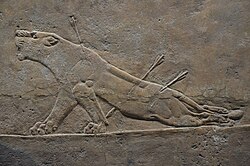 Bas-relief of a wounded lioness from Nineveh, c. 645–635 BC