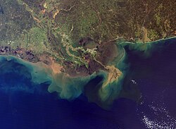 The Mississippi River Delta, showing the sediment plumes from the Mississippi and Atchafalaya Rivers, 2001