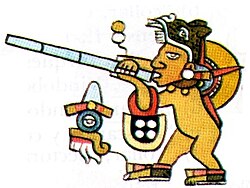 Mixtec blowgun Tlacalhuazcuahuitl depicted in the Codex Bodley