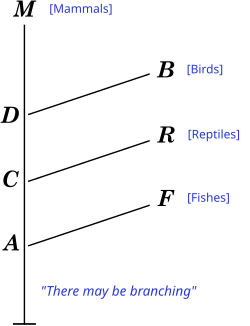 Diagram from the 1844 book Vestiges of the Natural History of Creation by Robert Chambers shows a model of development where fishes (F), reptiles (R), and birds (B) represent branches from a path leading to mammals (M).