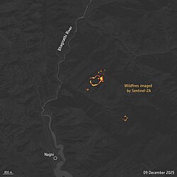 Wildfire in India imaged by Sentinel-2A at night