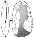 Ovoid