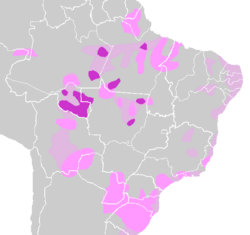 Tupi (violet) and other Tupi-Guarani (pink) languages areas and early probable areas (pink-gray)