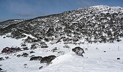 The Snowy Mountains