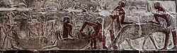Relief of striped hyenas being force-fed at the tomb of Mereruka