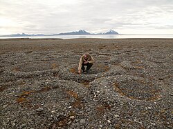 Partially melted and collapsed lithalsas (heaved mounds found in permafrost) have left ring-like structures on the Svalbard Archipelago