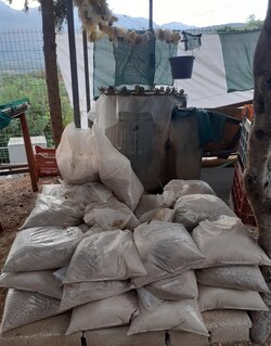Sediment samples waiting to be processed by water flotation.