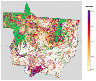 Map of Mato Grosso showing tree-cover loss years, with forest remaining since 2000 in green and loss years shaded yellow through purple.