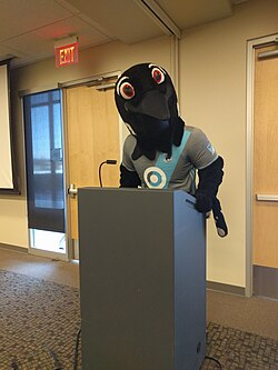 PK the loon