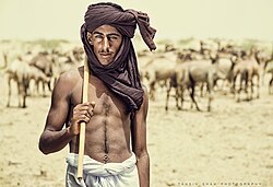 Camel grazers in the Thar Desert