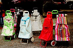 Wheeled shopping trolley bags