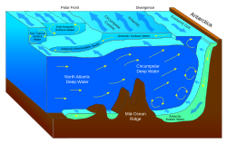 Diagram showing different water masses in the Southern Ocean.
