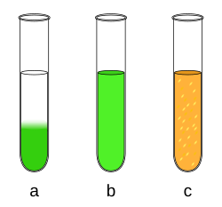 Homogeneity and heterogeneity;only 'b' is homogeneous while 'c' is heterogeneous in coloration
