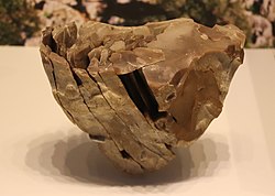 The Prepared-core technique starts by shaping a flint stone core for making blades (reassembled from blades for illustration purposes), Boqer Tachtit, Negev, Israel, circa 40000 BP.