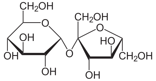 Sucrose: a disaccharide of glucose (left) and fructose (right)