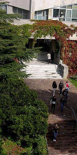 Faculty of Engineering