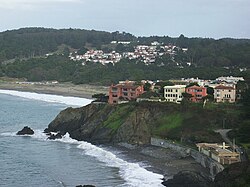 Sea Cliff is one of the city's most expensive neighborhoods.[174]