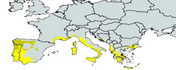 Map of mediterranean climate in europe, showing Csa (Csa) and Csb (Csb) compared.