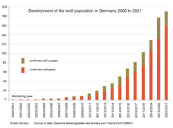 Development of the wolf population in Germany