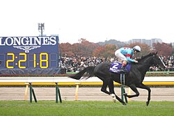 Equinox at the 2023 Japan Cup