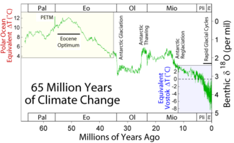 Climate change during the last 65 million years[32]