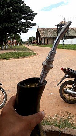 Tereré consumed from a guampa made of cattle horn with a silver bombilla