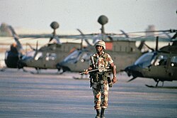 A sentry patrols along a line-up of OH-58 Kiowa helicopters